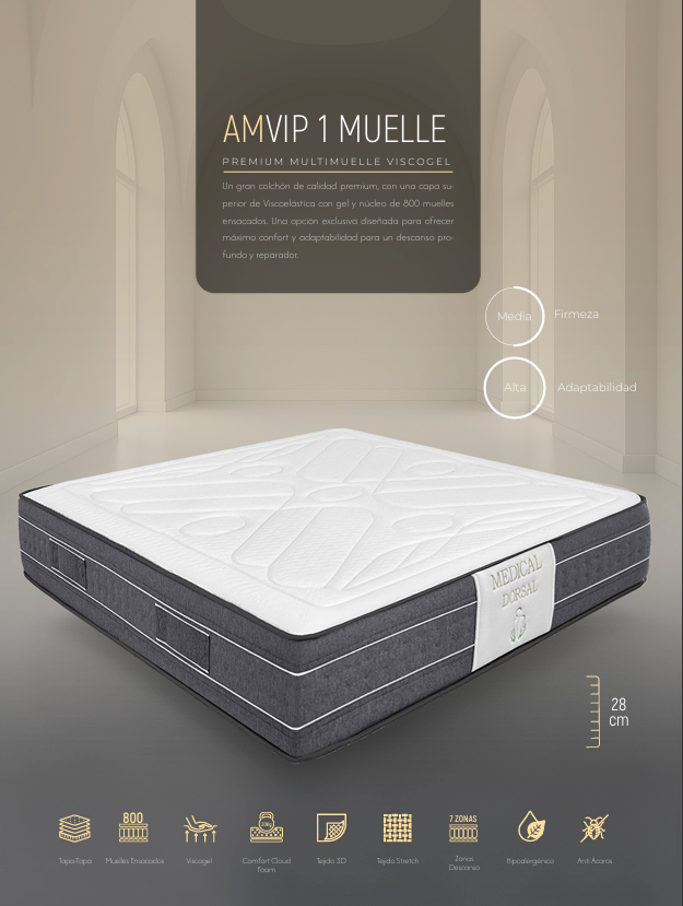 AMVIP 1 MUELLE
