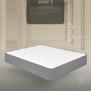 AMVIP 5