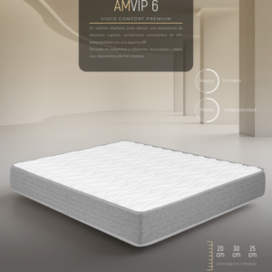AMVIP 6