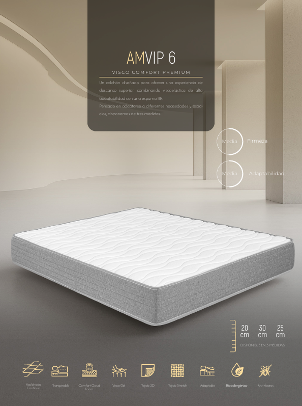 AMVIP 6