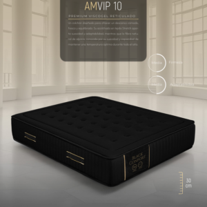 AMVIP 10