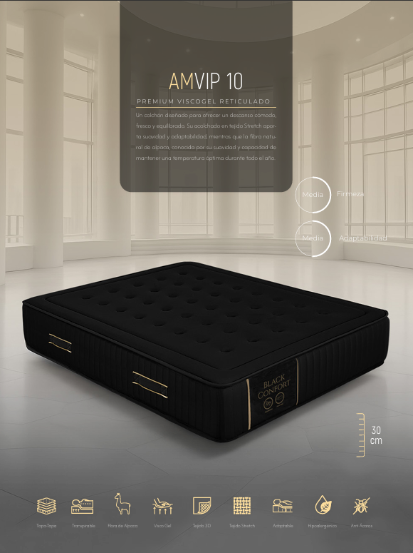 AMVIP 10